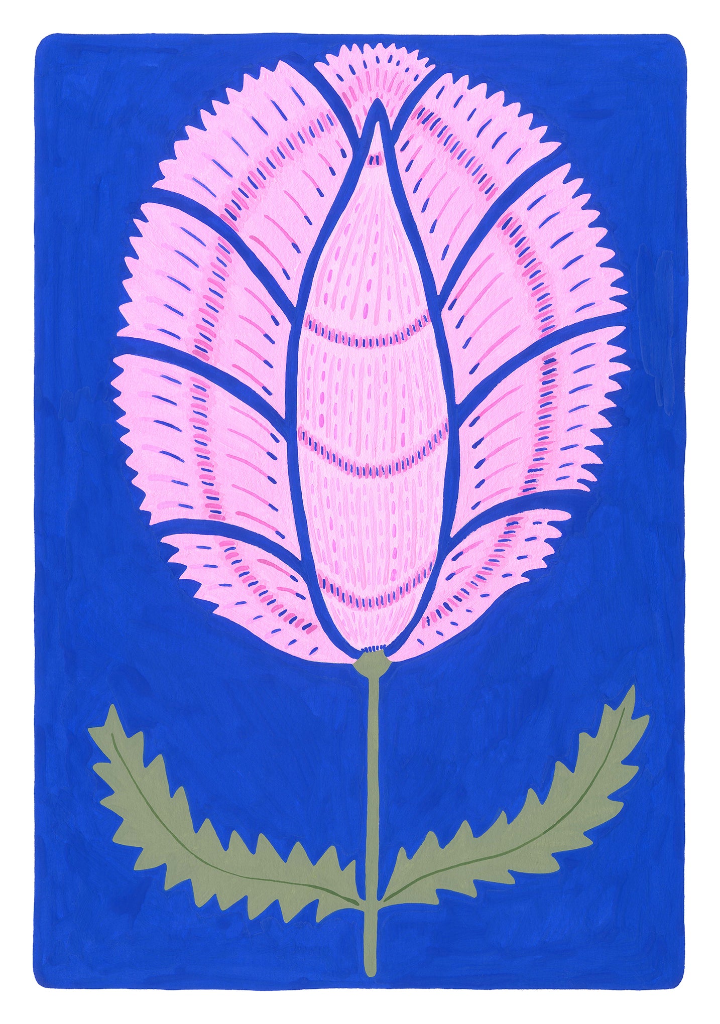 Angel's Wings Lotus
