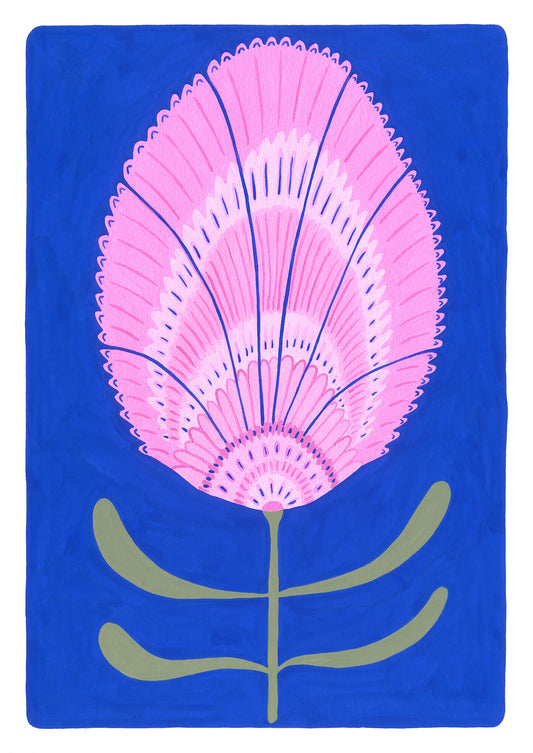 Sacred Lotus