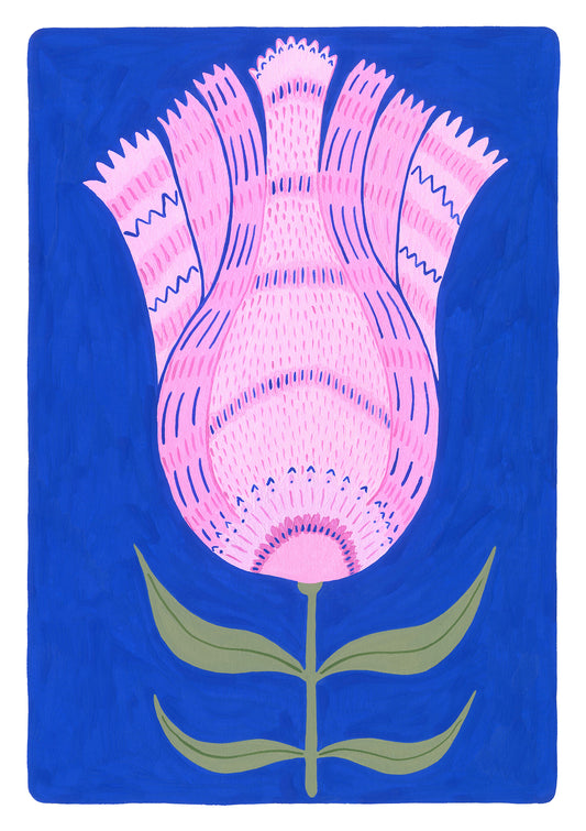 Star Lotus
